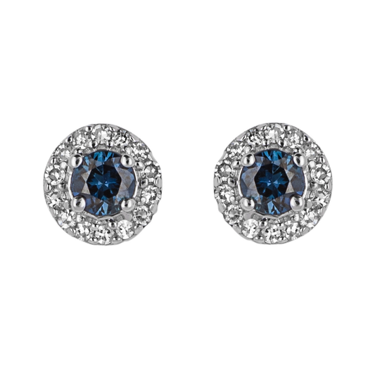 Double Row Arc Stud Earrings in Yellow and White Gold (GE2409)