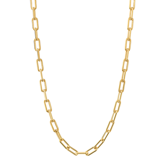 Gold Plated Link Chain Necklace with charm carrier