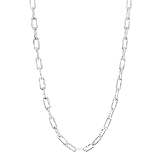 Plain Link Chain Necklace with charm carrier